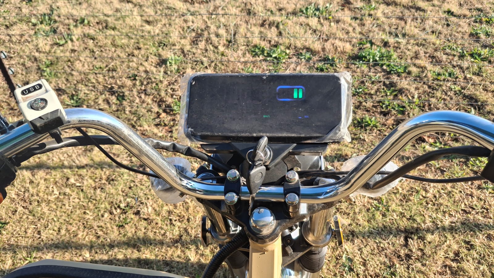 Electric Bike 1000W